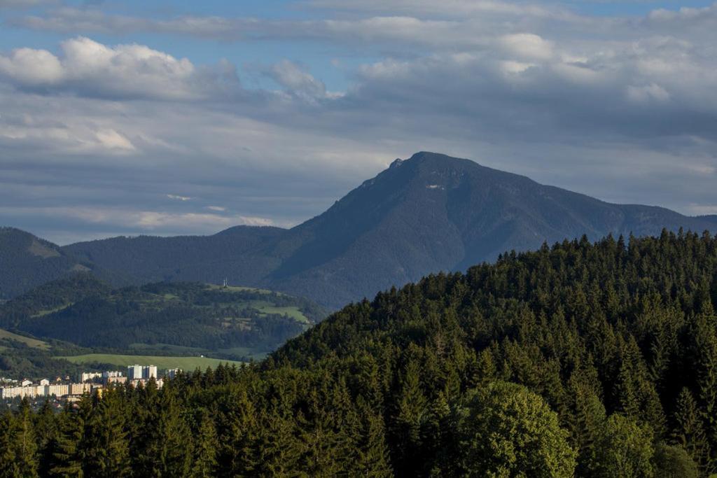 Apartman Kubinska 33 Dolny Kubin Exteriér fotografie